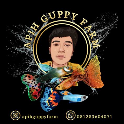 fishyhub review